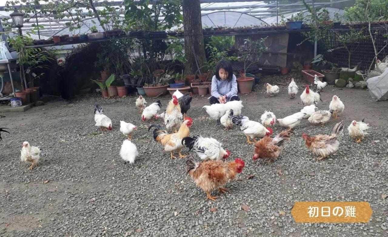 Alishan Sunrise B&B Fanlu Luaran gambar